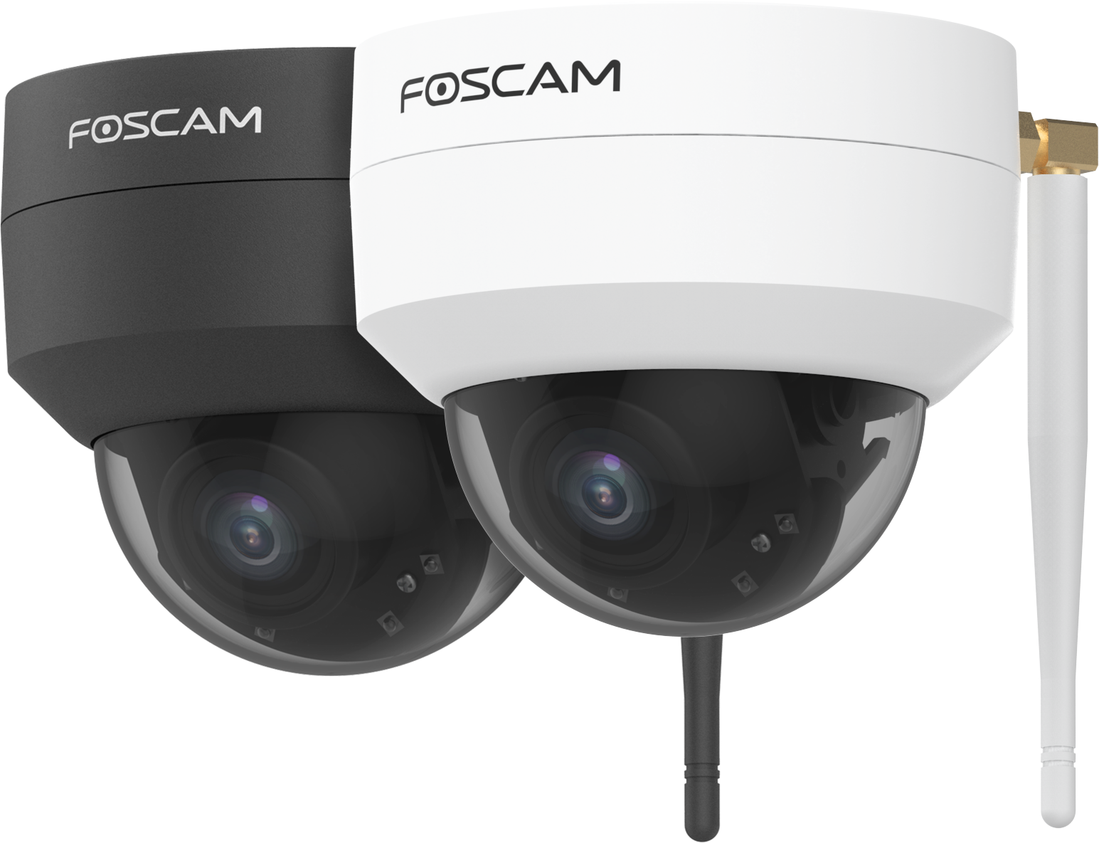 d4z camera